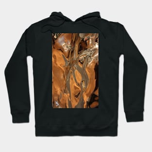 Reflections VII Hoodie